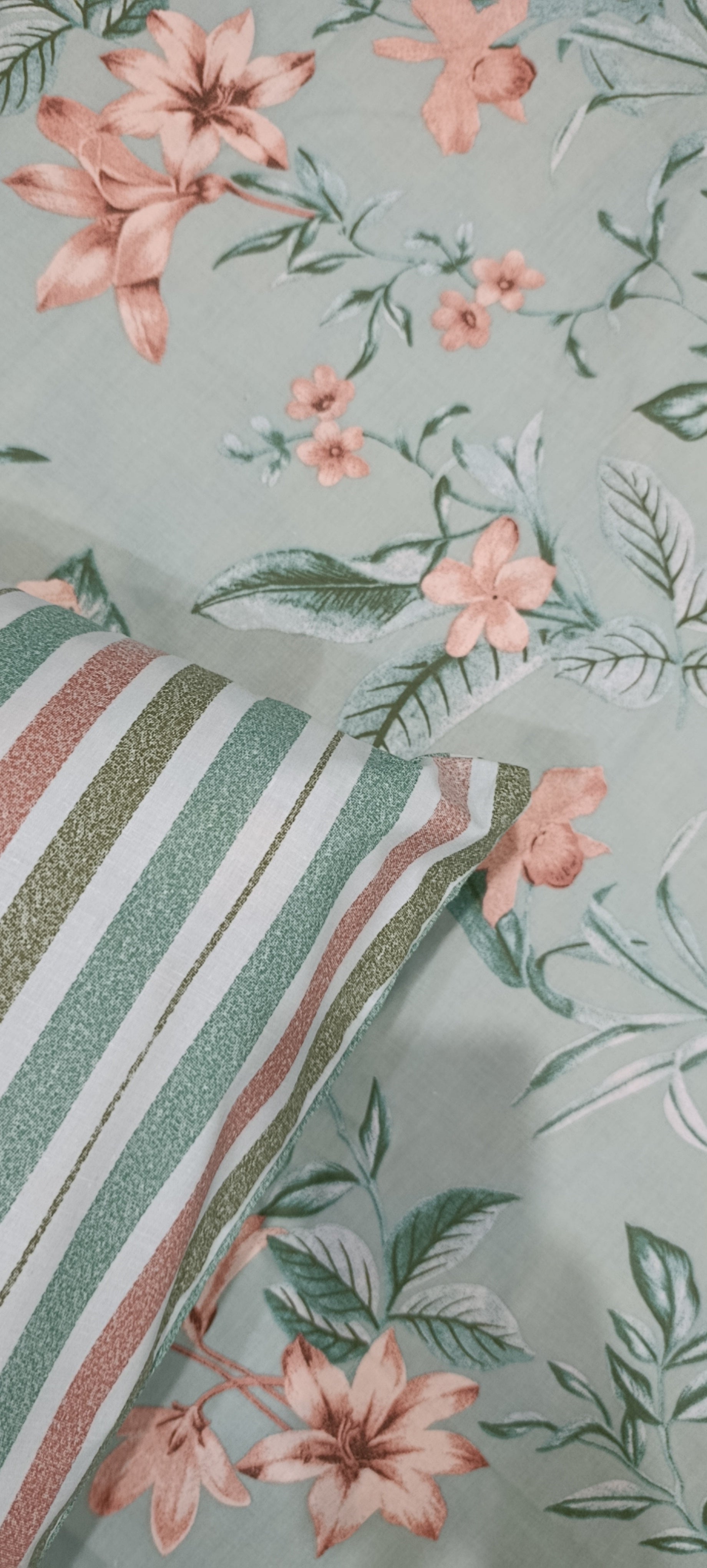 3 Pieces Pure cotton Bedsheet