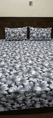 3 Pieces Pure cotton Bedsheet